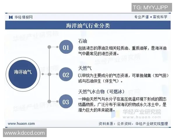 独家深度解析全球LNG市场竞争格局与实力对比分析